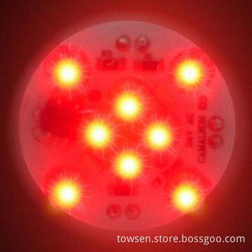 E10 LED Amusement/Fair Light for Ferris Wheel, with 12-piece LEDs, 24/60V